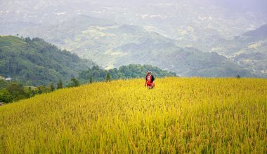 北斗卫星地图高清版农田与山地地貌，农业测绘场景下田块边界与河流走向清晰标注